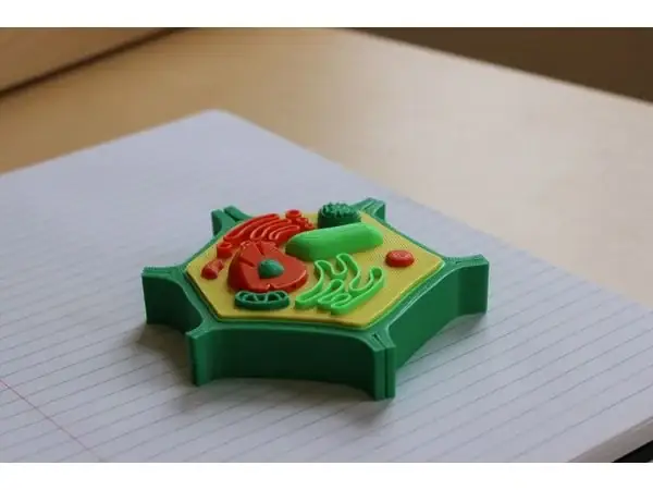 Multi-Color Mini Plant Cell