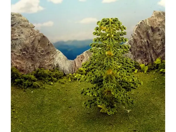 Vegetation C - Spruce