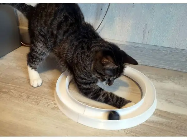 CAT TOY LABYRINTH LITE (1.6mm)