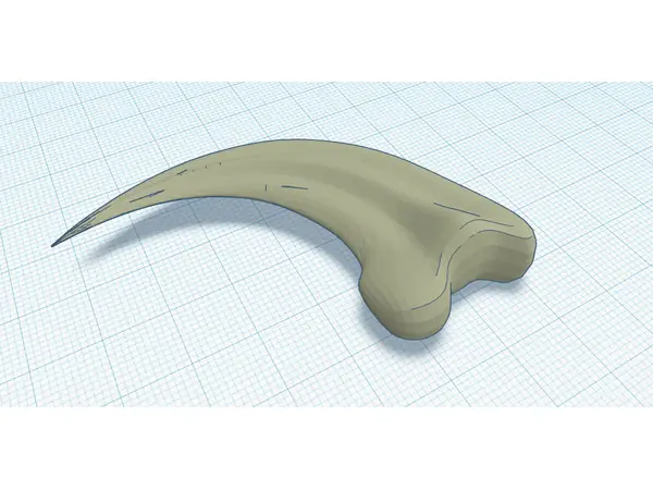 Raptor claw