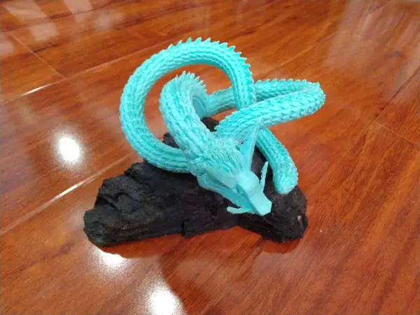 Torus knot dragon
