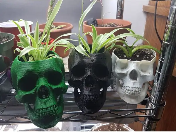 Skull pot