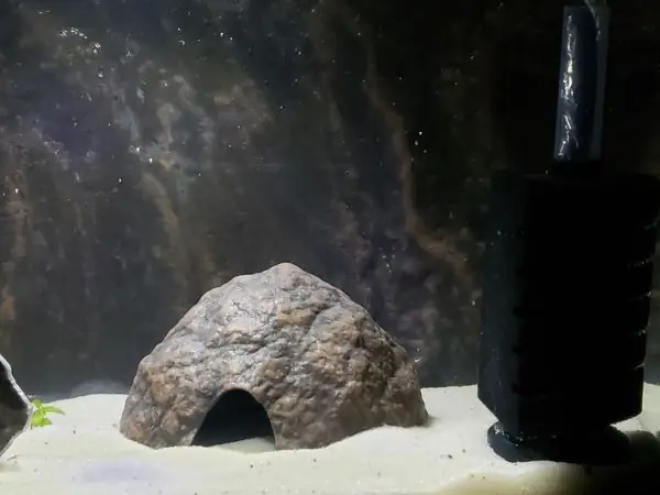 Aquarium Decoration - Textured Coconut Half
