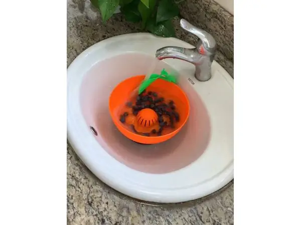 Berry cleaning machine powered by tap water
