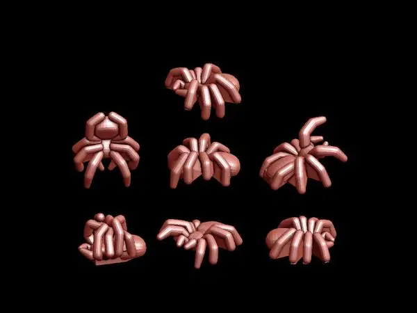 Spiders