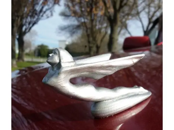 Car Mascot