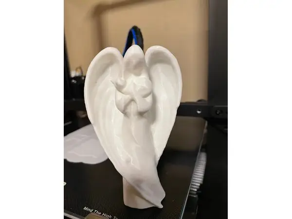 Angel Holding Cat