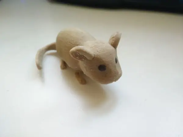 Chinchilla