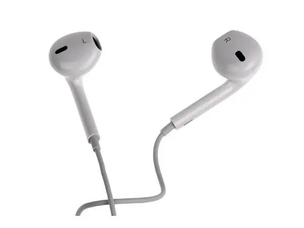 Apple Headphone Case