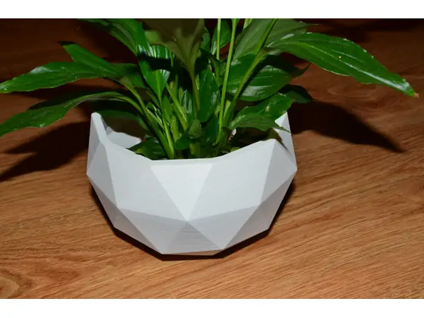 Flower Pot
