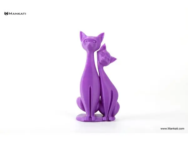 Twin cats