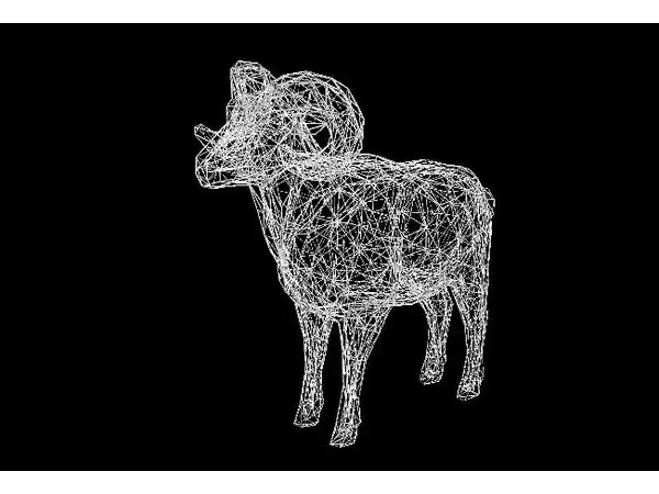 Wire Frame RAM