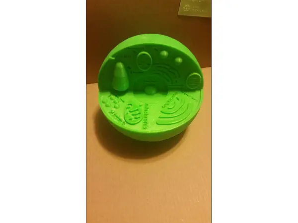 Plant Cell