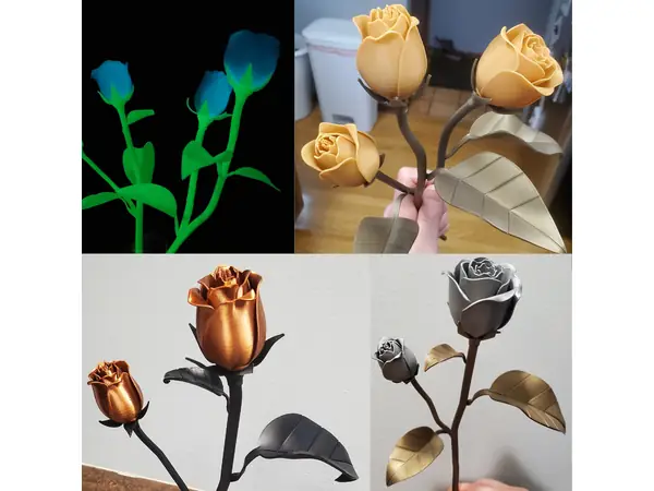 Roses Variety Pack