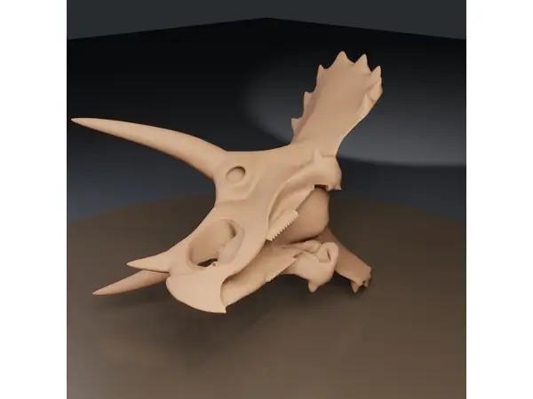 Triceratops Prorsus - 26-Piece Museum Skeleton