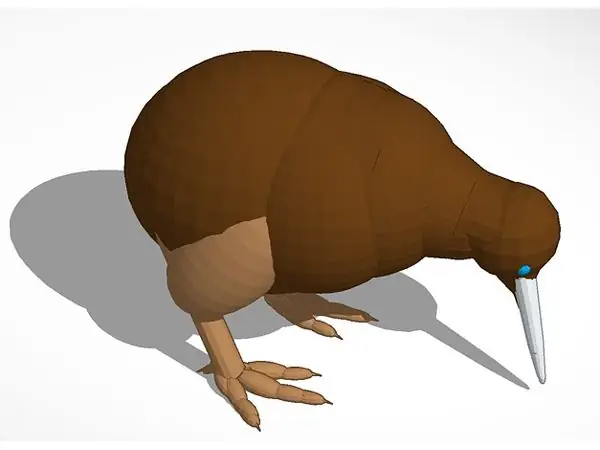 kiwi bird