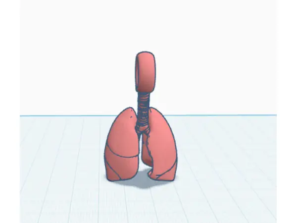 Lung keychain