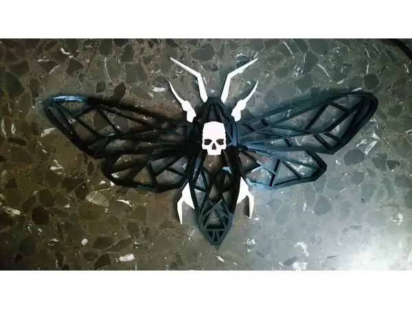 Geometric Moth