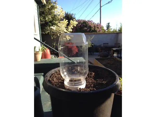Mini Garden Greenhouse
