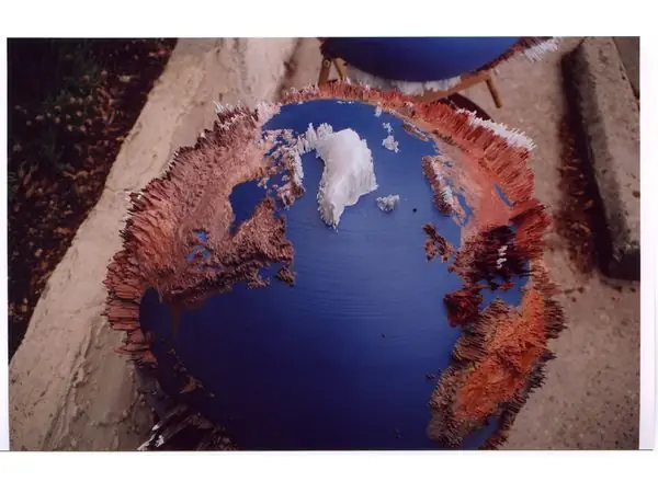 Bonsai Earth Globe 200x