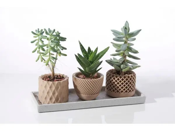 Modern geometric Succulent plant pot
