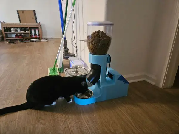 Automatic Cat Feeder