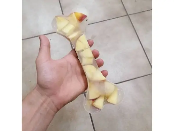 ICE Bone Mold for Dogs