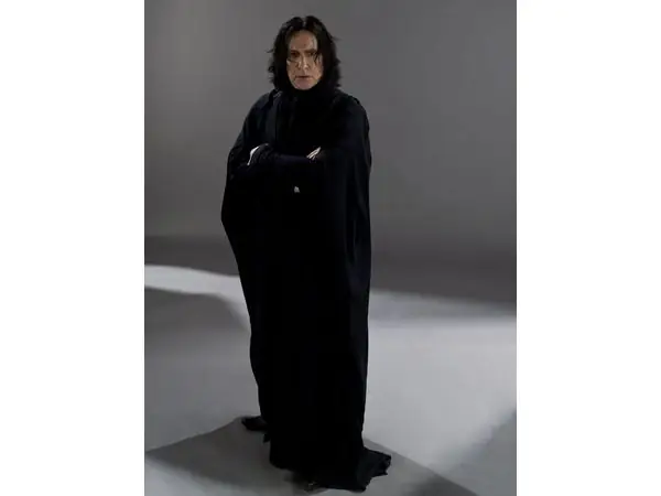 Severus Snape Figurine