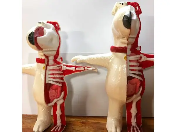 Brian Griffin Anatomy