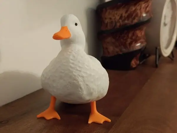 white duck