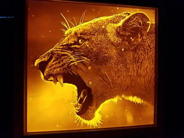 Lioness Lithophane