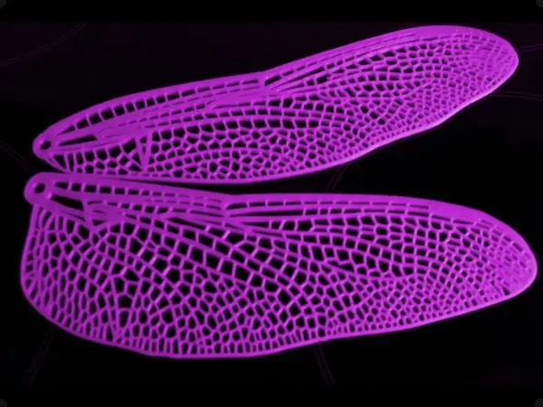 Dragonfly Wing Set