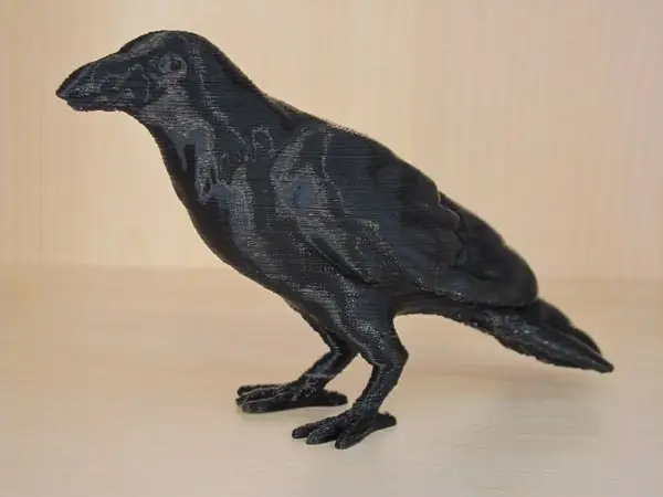 Crow (with support)