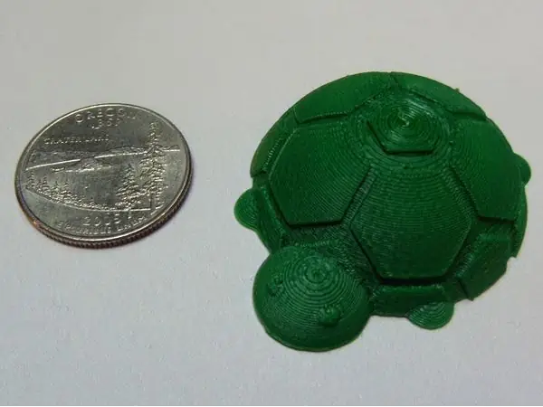 Turtle