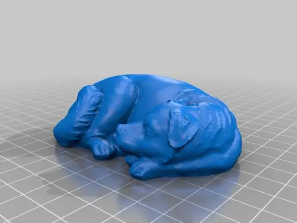Sleeping Dog