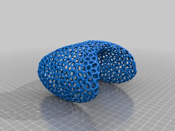 Kevin's Voronoi Thyroid