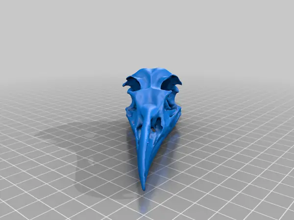 Gull Skull USB Holder