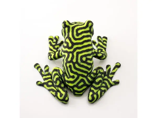 2-color tree frog