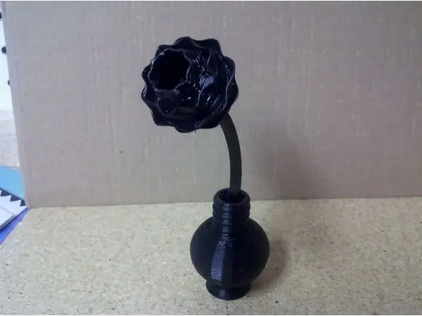 Flower in Vase