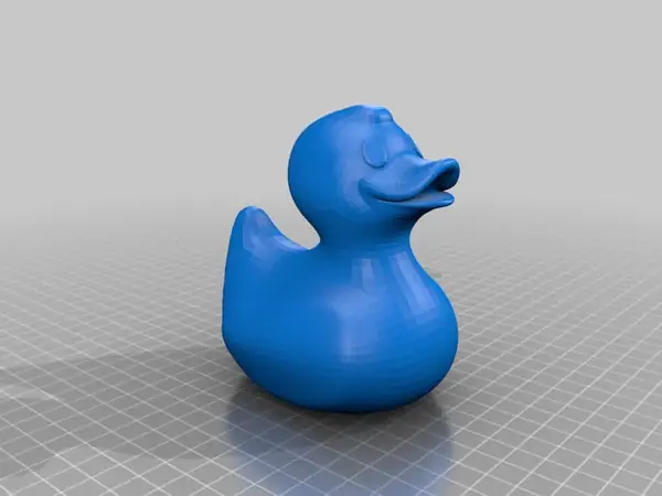 Rubber Duck