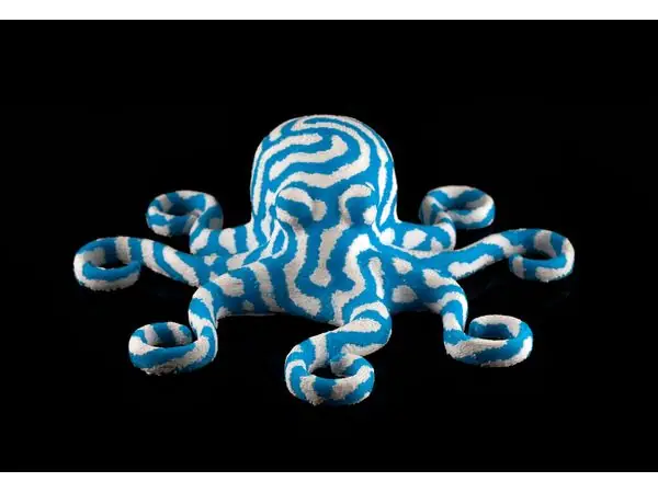 2-Color Octopus