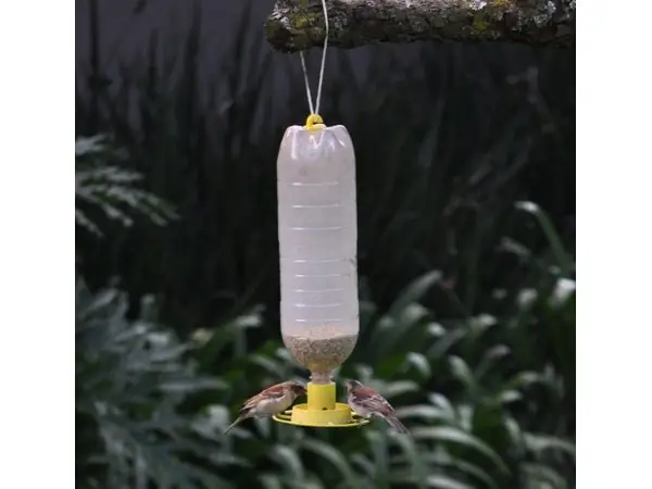 Bird Feeder (with soda bottle thread)