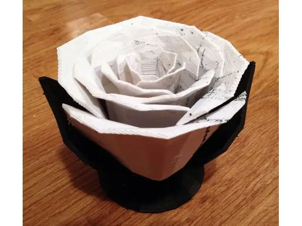 Jillian's Rose