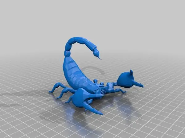 Scorpion