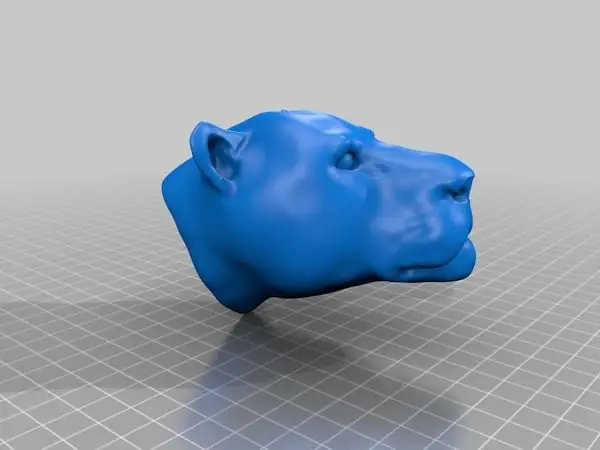 Lioness head