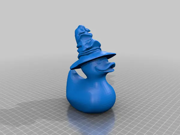 Wizard Sorting Duck