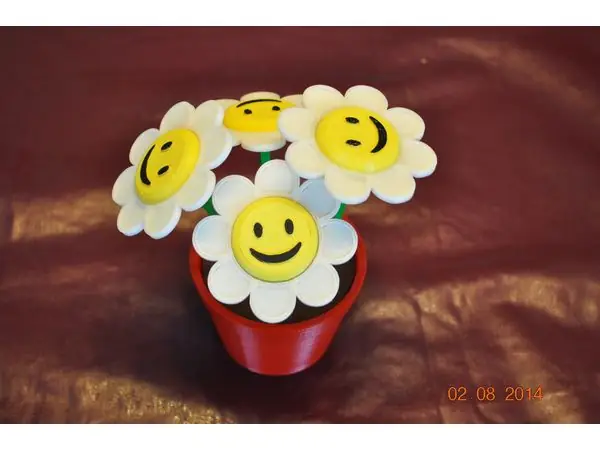 Smiley Face Flowers and Flower Pot
