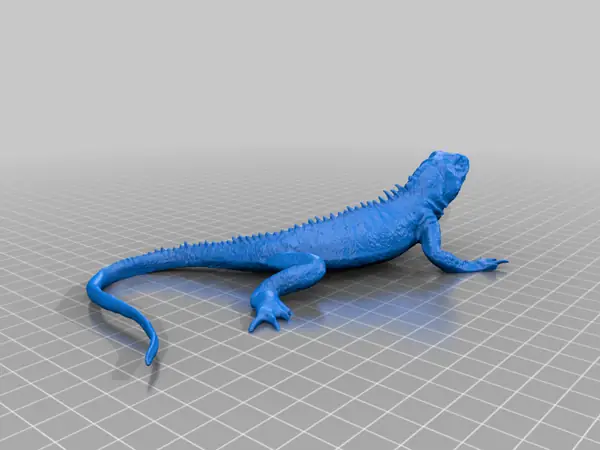 Lizard