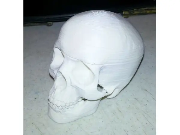 Sliced Human Skull with Mandible and Teeth