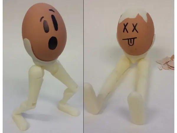 Legs for Eggs